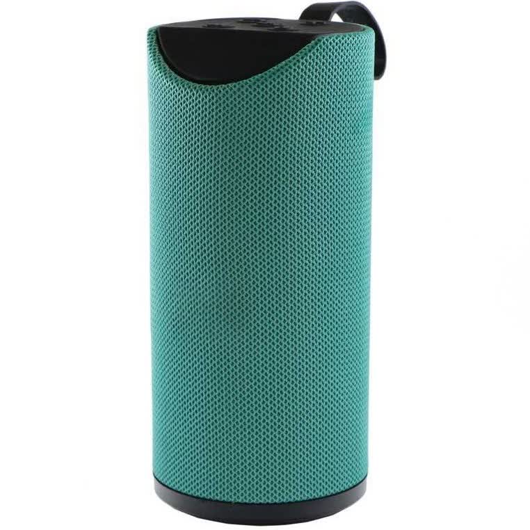 اسپیکر تی اند جی T&G 113